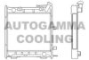 AUTOGAMMA 100177 Radiator, engine cooling
